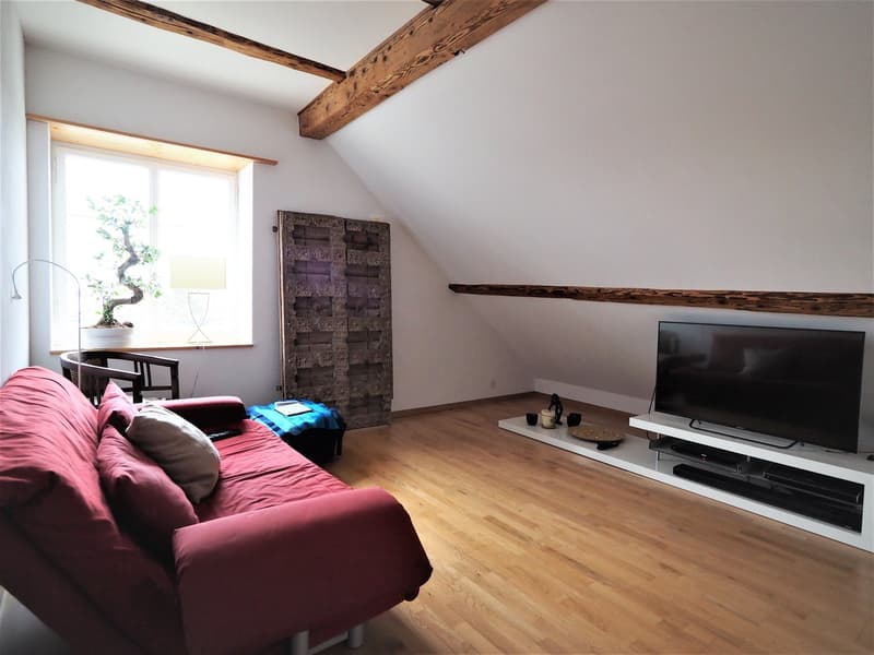 Habitation moderne dans un bâtiment historique (8)