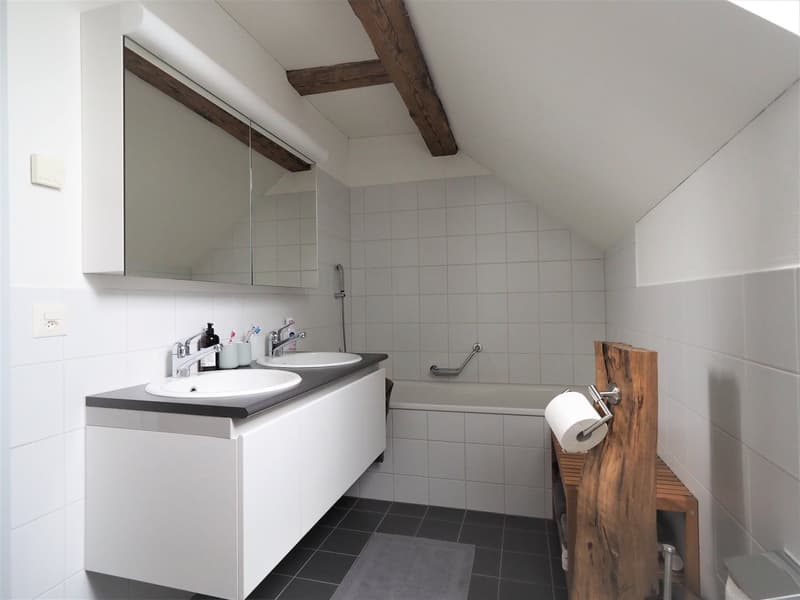 Habitation moderne dans un bâtiment historique (10)