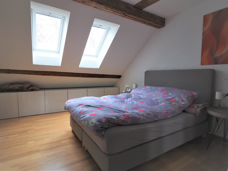 Habitation moderne dans un bâtiment historique (7)