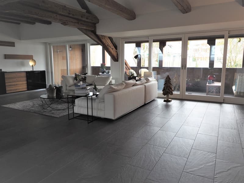 Habitation moderne dans un bâtiment historique (3)