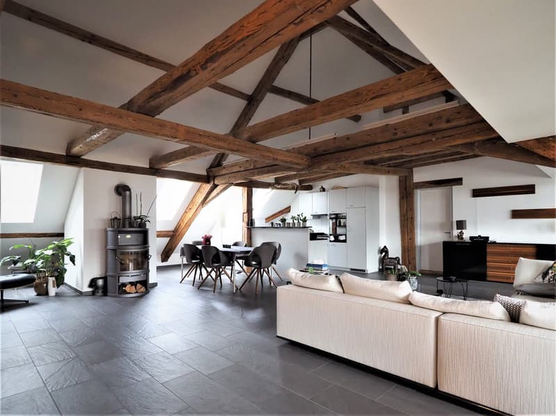 Habitation moderne dans un bâtiment historique (2)