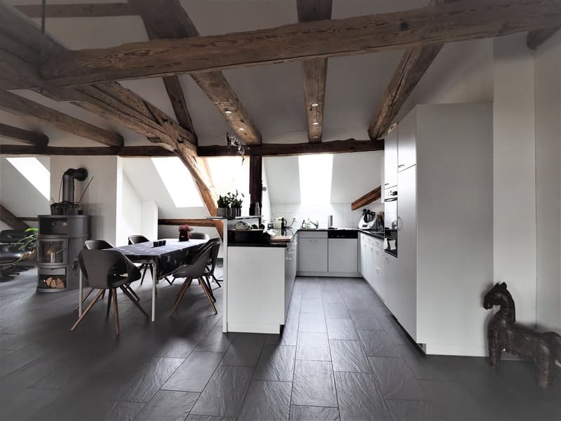 Habitation moderne dans un bâtiment historique (4)