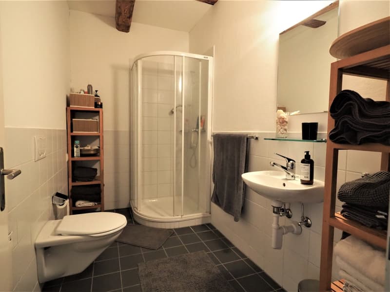 Habitation moderne dans un bâtiment historique (9)