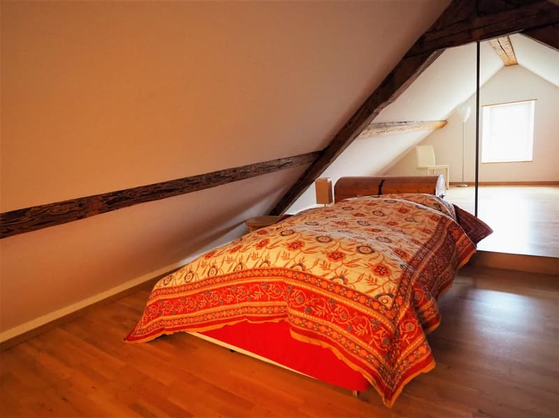 Habitation moderne dans un bâtiment historique (11)