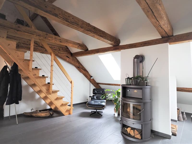 Habitation moderne dans un bâtiment historique (6)