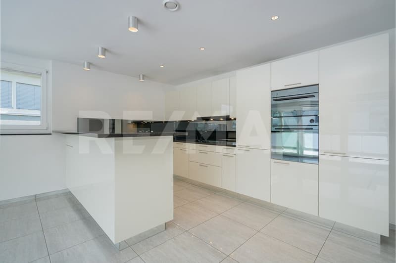 Light, Space and Comfort - modern living, generous living (4)