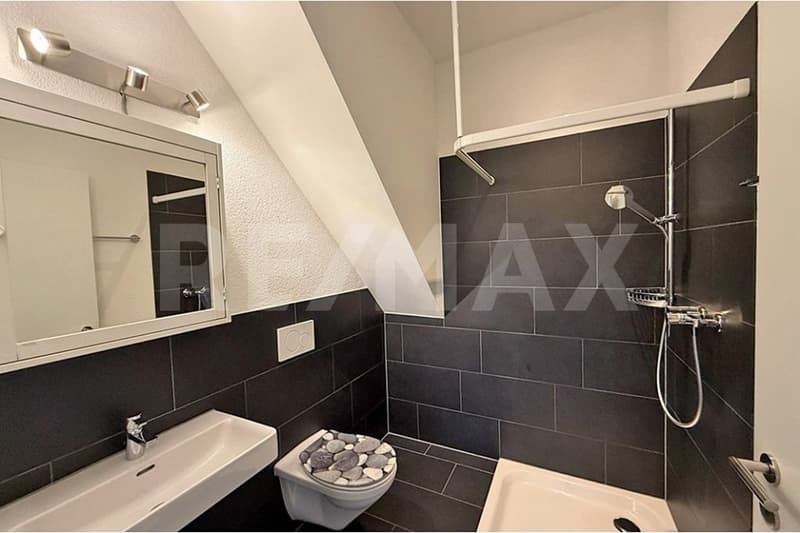 Modern 5.5-room attic apartment (10)
