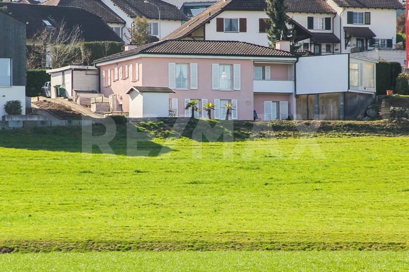 Aussicht auf grüne Wiesen und die Berge (2)