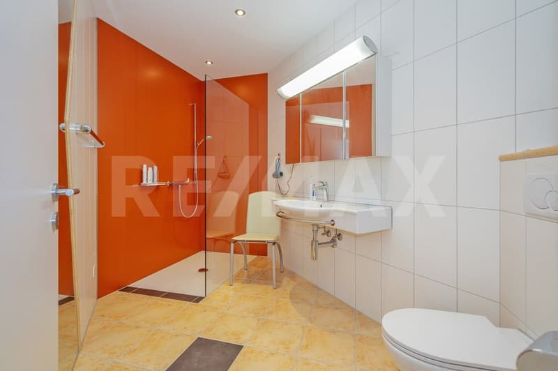Like in Tessin - 4.5-room apartment with large garden (8)