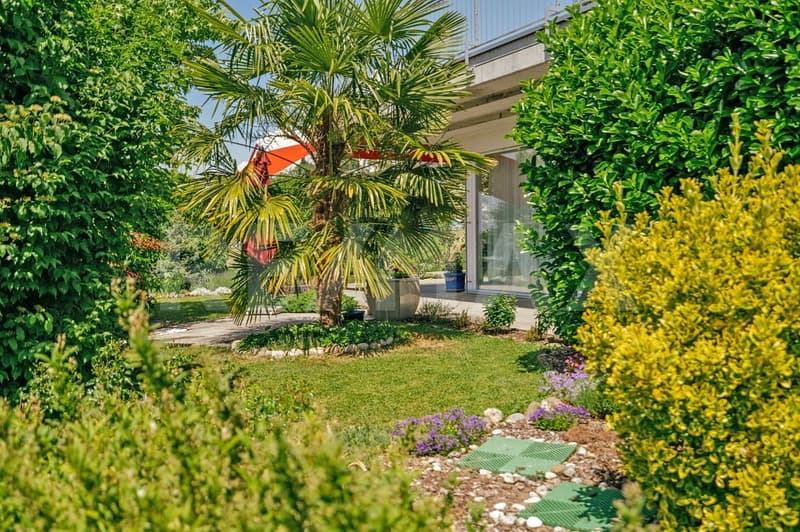 Like in Tessin - 4.5-room apartment with large garden (2)