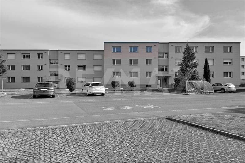Appartamento 3.5 locali in proprietà o oggetto di investimento (3)