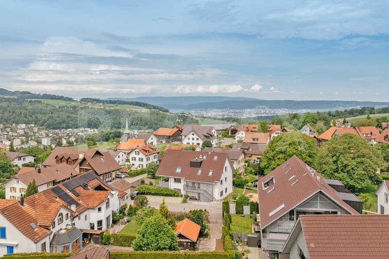 Neuwertige Dachwohnung nahe bei Zürich (1)