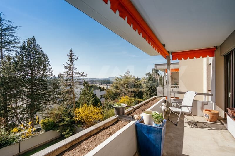 Nature, Sun, View: 4.5-Room Apartment in Top Location (1)