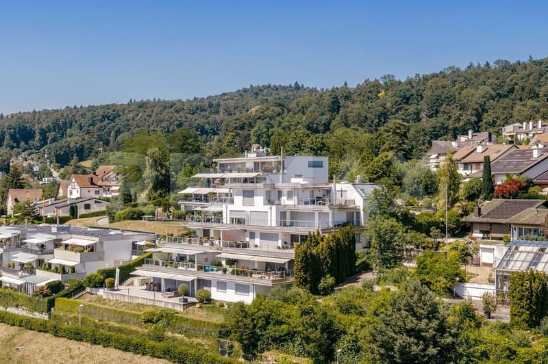 Exclusive 3.5-room terrace apartment with breathtaking views (2)