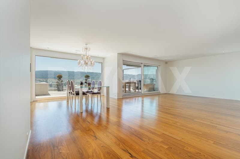 Exclusive 3.5-room terrace apartment with breathtaking views (6)