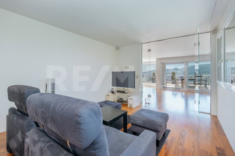 Exclusive 3.5-room terrace apartment with breathtaking views (8)