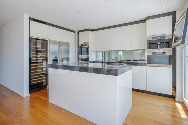 Exclusive 3.5-room terrace apartment with breathtaking views (7)