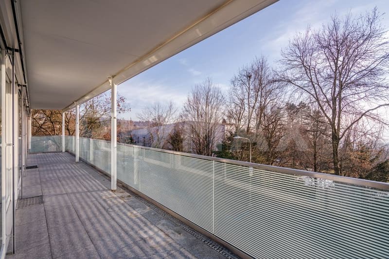 Zeitlose Eleganz am Zürichberg - Exklusives Wohnen im renommierten Forsterpark (10)