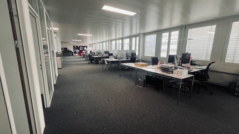 Bureau 238 m2 à 6312 Steinhausen (11)