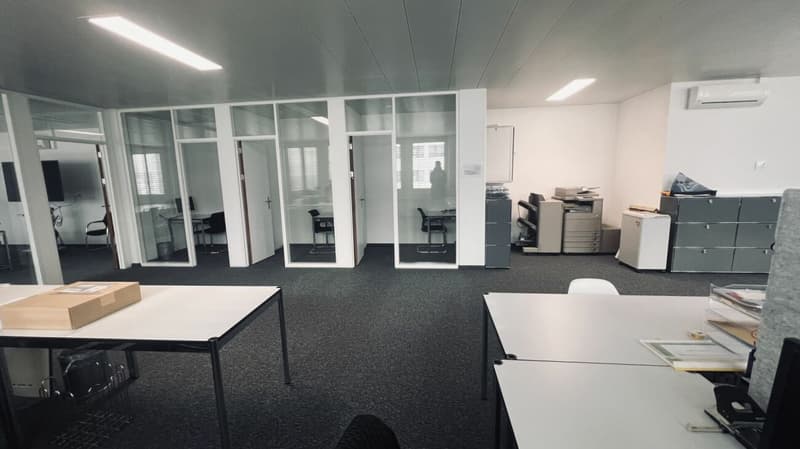 Bureau 238 m2 à 6312 Steinhausen (6)