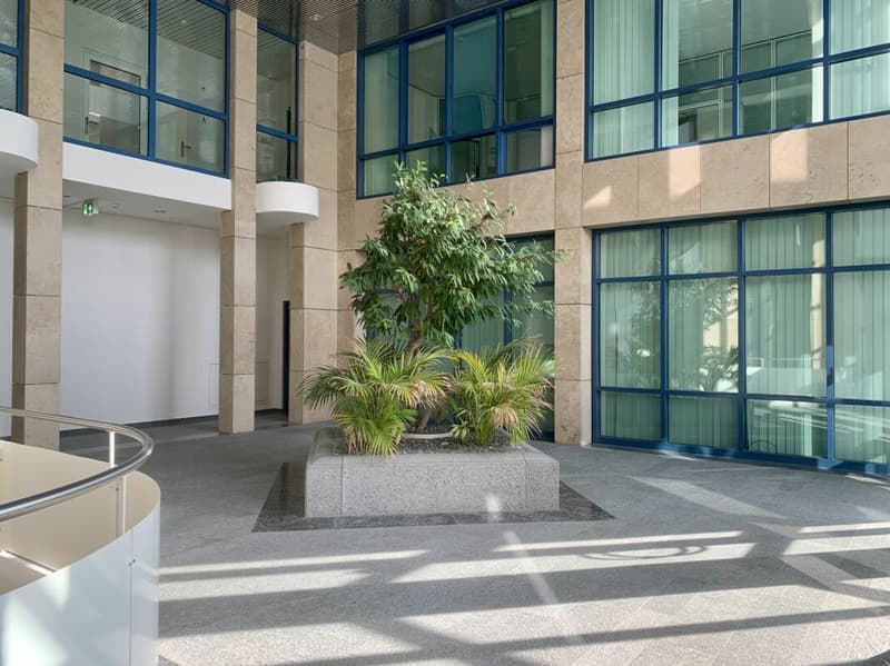 358 m2 flexible office space on the ground floor in Rotkreuz (2)