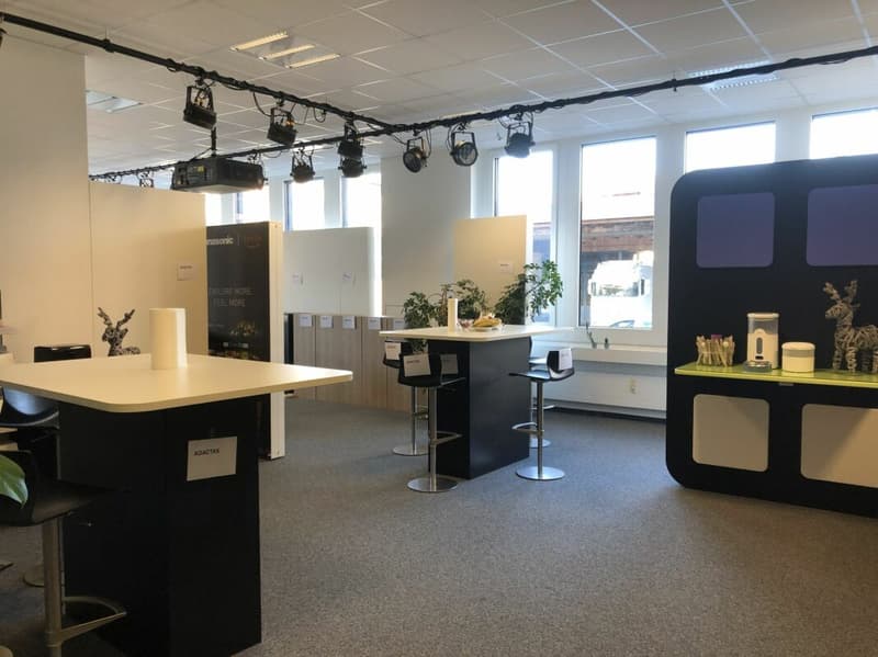 242 m2 Büro / Ausstellung / Lager mit Anlieferungsrampe in Rotkreuz (7)