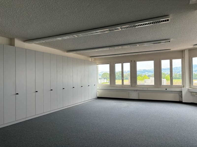 Bureau 67 m2, aménagé, à Steinhausen (8)