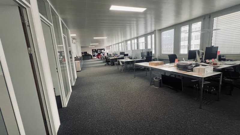 Büro 238 m2 in 6312 Steinhausen (9)