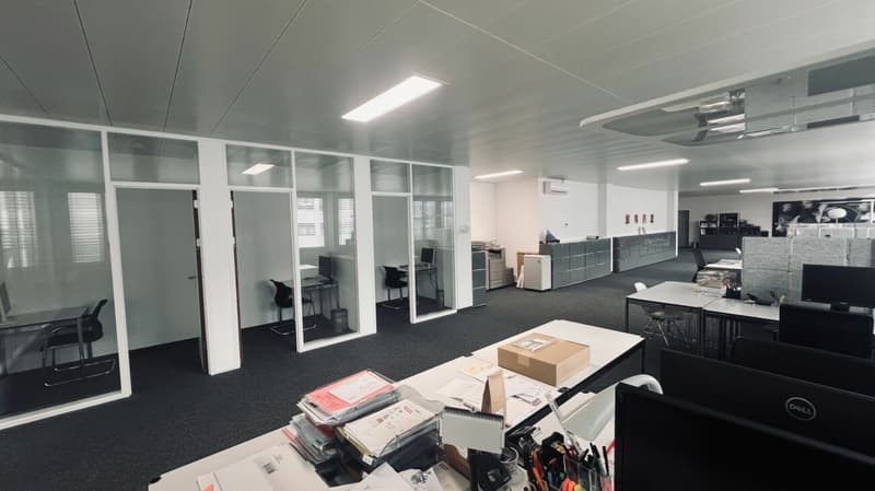 Büro 238 m2 in 6312 Steinhausen (10)