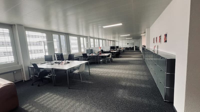 Büro 238 m2 in 6312 Steinhausen (4)