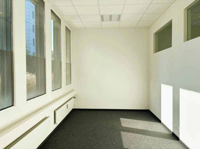 600 m² Büro, Showroom & Lager mit Laderampe - direkt an der Autobahn Rotkreuz, teilbar (6)