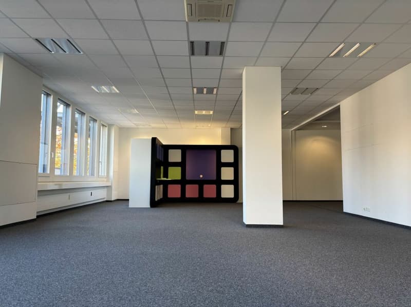 600 m² Büro, Showroom & Lager mit Laderampe - direkt an der Autobahn Rotkreuz, teilbar (17)
