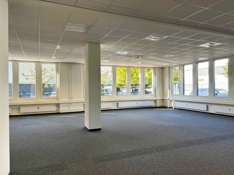 600 m² Büro, Showroom & Lager mit Laderampe - direkt an der Autobahn Rotkreuz, teilbar (14)