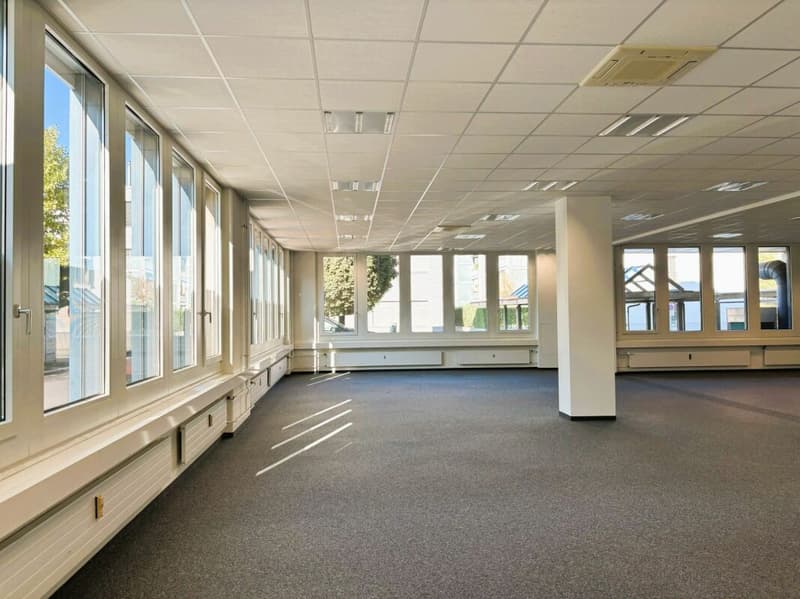 600 m² Büro, Showroom & Lager mit Laderampe - direkt an der Autobahn Rotkreuz, teilbar (11)