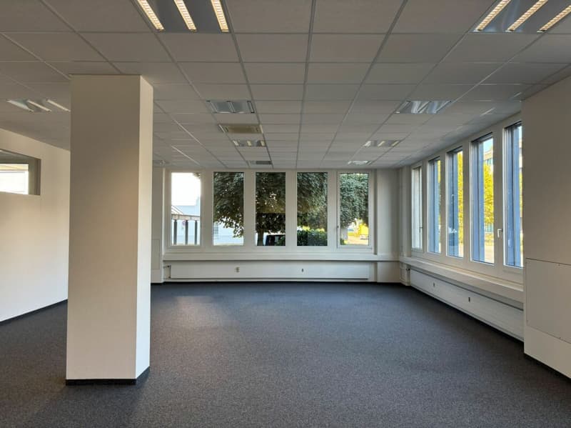 242 m² Showroom & Büro mit Lager und Laderampe - sofort frei (10)