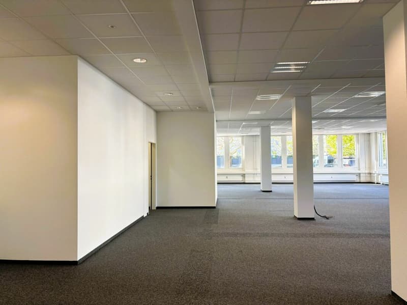 358 m² Büro im EG mit 3.5 m Raumhöhe - flexibel einteilbar (13)