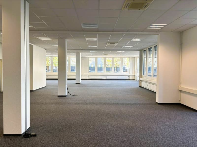 358 m² Büro im EG mit 3.5 m Raumhöhe - flexibel einteilbar (14)