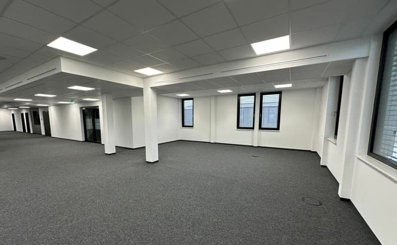 Welcome to the modern workspace with a view of nature! (4)