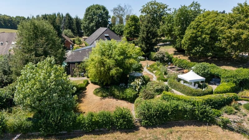 Garten, Grundstück