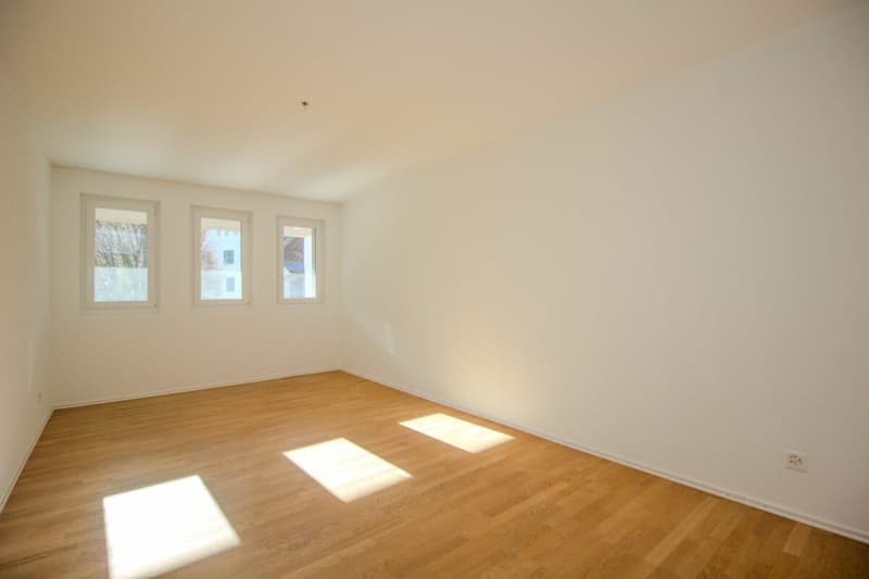 Zimmer EG