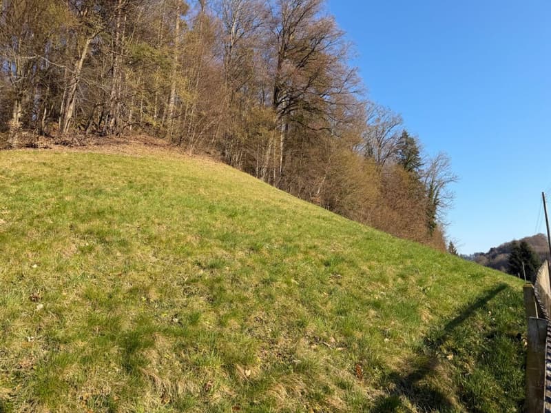 Landanteil oberhalb des Hauses