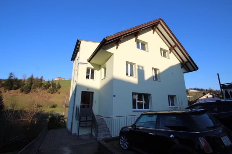 Zu verkaufen MFH mit 4 Wohnungen frisch saniert (18)