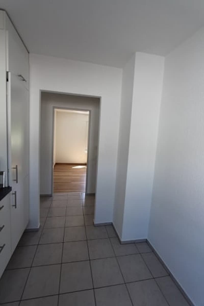 zu vermieten: helle 3.5 Zimmerwohnungan mit eigener Waschmaschine (10)
