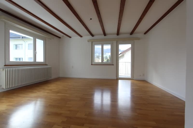 In affitto appartamento 4.5 locali con balcone (12)