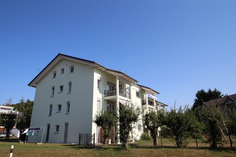 3.5 Zi-Wohnung mit Balkon und Eigenen Waschturm (21)