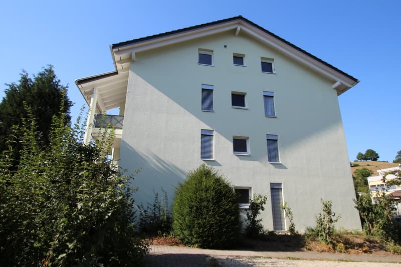 3.5 Zi-Wohnung mit Balkon und Eigenen Waschturm (27)