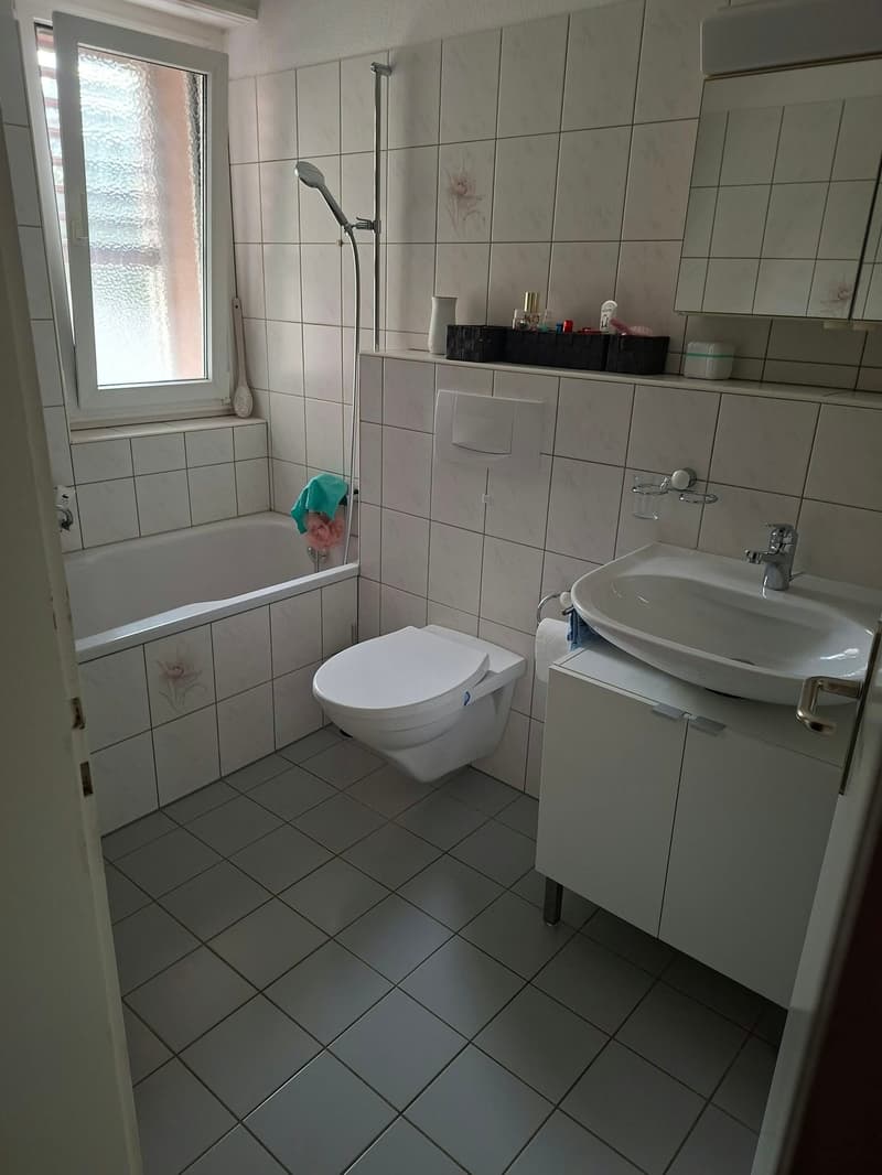 Gemütliche 3-Zimmer-Wohnung in Zofingen – ab sofort verfügbar! (6)