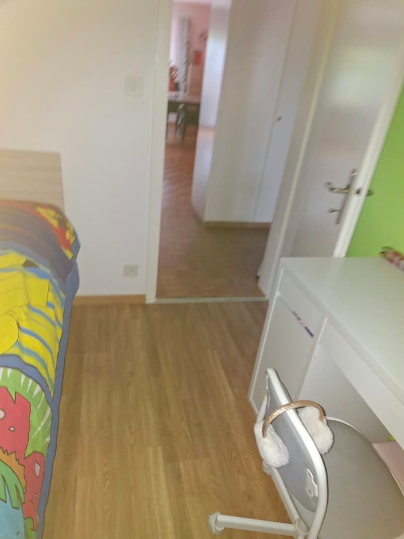 Gemütliche 3-Zimmer-Wohnung in Zofingen – ab sofort verfügbar! (4)