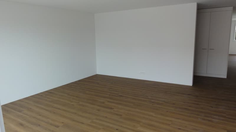 In affitto (prima locazione) appartamento spazioso 3,5 locali con ampio balcone (9)