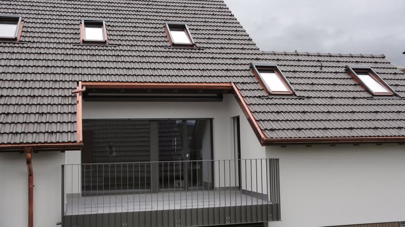 In affitto (prima locazione) appartamento spazioso 3,5 locali con ampio balcone (5)